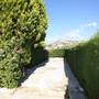 Горящие туры в отель Alonia Villas - 3