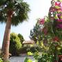 Горящие туры в отель Alonia Villas - 2