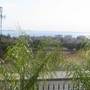Горящие туры в отель Kolokotronis Villa - 5