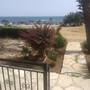 Горящие туры в отель Yialos Apartments - 3