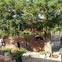 Горящие туры в отель Holiday home Pegia Paphos St George Avenue II - 2