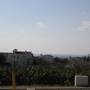 Горящие туры в отель Zalakia Sunset Villa - 2