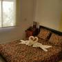 Горящие туры в отель Miris Mediterraneo Apartments - 4