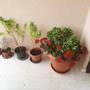 Горящие туры в отель Aristo Vrisi Village 3 Apartment - 1