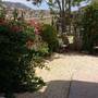 Горящие туры в отель Peyia Seaview Holiday Home - 2