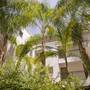 Горящие туры в отель Alecos Hotel Apartments - 5