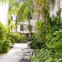 Горящие туры в отель Alecos Hotel Apartments - 4