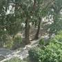 Горящие туры в отель Amathus Beach #10 - 6