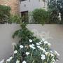 Горящие туры в отель Nikola's House - 5