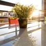 Горящие туры в отель Eden Beach Apartment 207 - 5