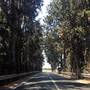 Горящие туры в отель Citrus Grove Apartments - 3