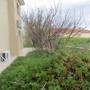 Горящие туры в отель Ayios Athanasios House - 5