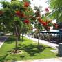 Горящие туры в отель Sea Front & City Center, Amazing Sea View - 3
