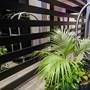 Горящие туры в отель The Ciao Stelio Deluxe Hotel - 3