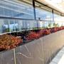 Горящие туры в отель The Ciao Stelio Deluxe Hotel - 2