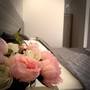 Горящие туры в отель Adonis Apartments - 1
