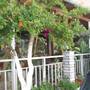 Горящие туры в отель Hotel Germany - 4