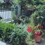 Горящие туры в отель Athina & Iason Paralia Apartments - 5
