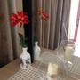 Горящие туры в отель Palmira Apartments - 6