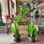 Горящие туры в отель Grand Howard Hotel Bangkok - 6