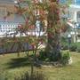 Горящие туры в отель Esperides Villas - 5