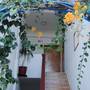 Горящие туры в отель Sailors Apartments - 3