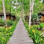 Горящие туры в отель Jungle Koh Kood Resort - 5