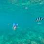 Горящие туры в отель Jungle Koh Kood Resort - 2