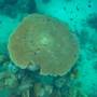 Горящие туры в отель Jungle Koh Kood Resort - 4