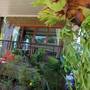 Горящие туры в отель Dara Homestay - 2
