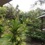 Горящие туры в отель Baan Puen Koh Kood - 5