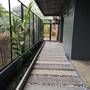 Горящие туры в отель Siri Guesthouse @ Surat Thani - 2