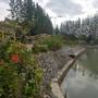 Горящие туры в отель Bua Chompu Resort - 3