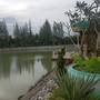 Горящие туры в отель Bua Chompu Resort - 2