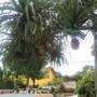 Горящие туры в отель The Great Rayong Hotel - 4