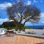 Горящие туры в отель Little Lindos Sea View Studios - 6