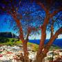 Горящие туры в отель Little Lindos Sea View Studios - 5