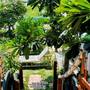 Горящие туры в отель Happy House On The Beach - 1