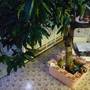 Горящие туры в отель Emmanuel Guesthouse - 4