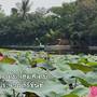 Горящие туры в отель Rai Lung Tui Homestay - 3