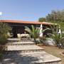 Горящие туры в отель Villa Athena - 6