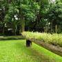 Горящие туры в отель Baan88 Chiangmai - 2