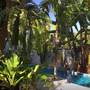 Горящие туры в отель Frangipani Home - 2