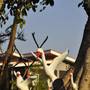 Горящие туры в отель Chiang Rai Khuakrae Resort - 6