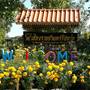Горящие туры в отель Chiang Rai Khuakrae Resort - 1