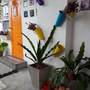 Горящие туры в отель Na-Rak-O Resort - 6