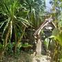 Горящие туры в отель Baan Suan Jantra Home Stay - 3