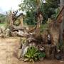 Горящие туры в отель Baan Suan Jantra Home Stay - 6