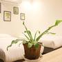 Горящие туры в отель Fulllax Guesthouse - 3