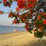 Горящие туры в отель Samui-Paradise - 2